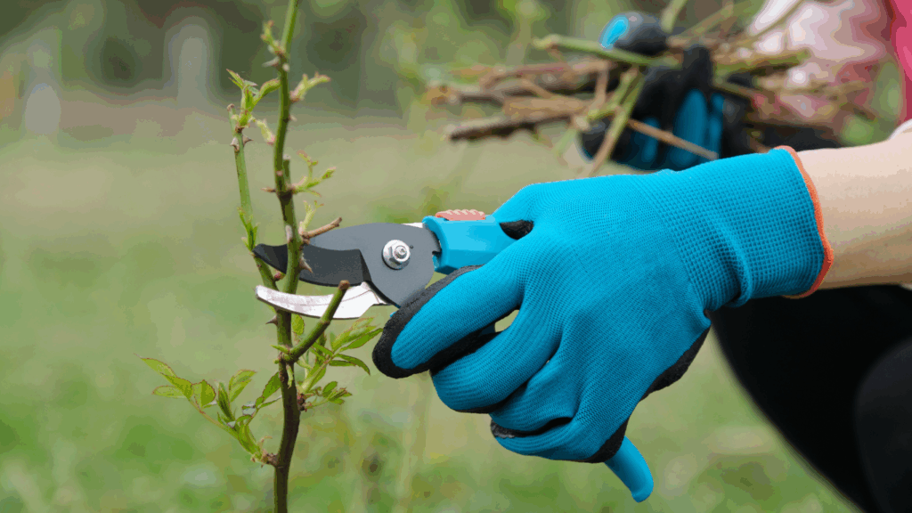 Beste Tuinhandschoenen Van 2025