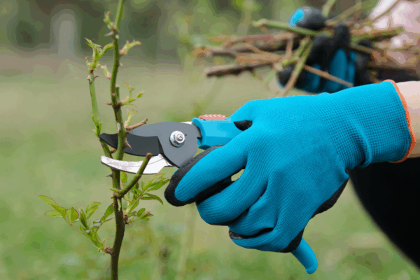 Tuinhandschoenen Review: 5 Beste Handschoenen Voor Tuinieren Beste Tuinhandschoenen Van 2025